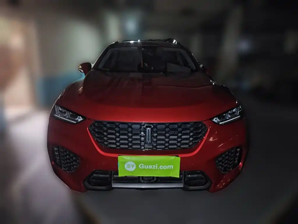 WEI PAI WEI BRAND VV7