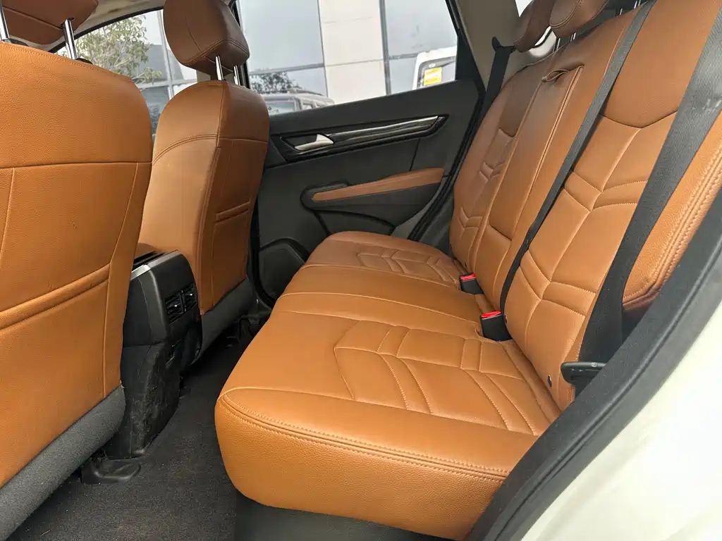 DONGFENG DONGFENG DEMEANOR MX5