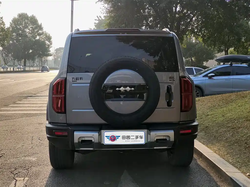 FANG CHENG BAO LEOPARD 5