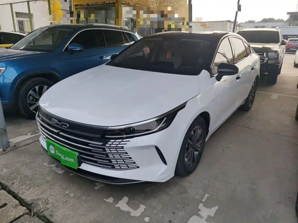 BYD DESTROYER 05