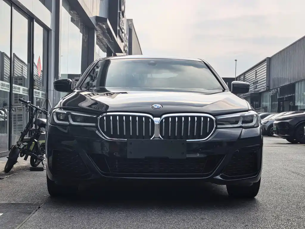 BMW 5 Series — миниатюра 2