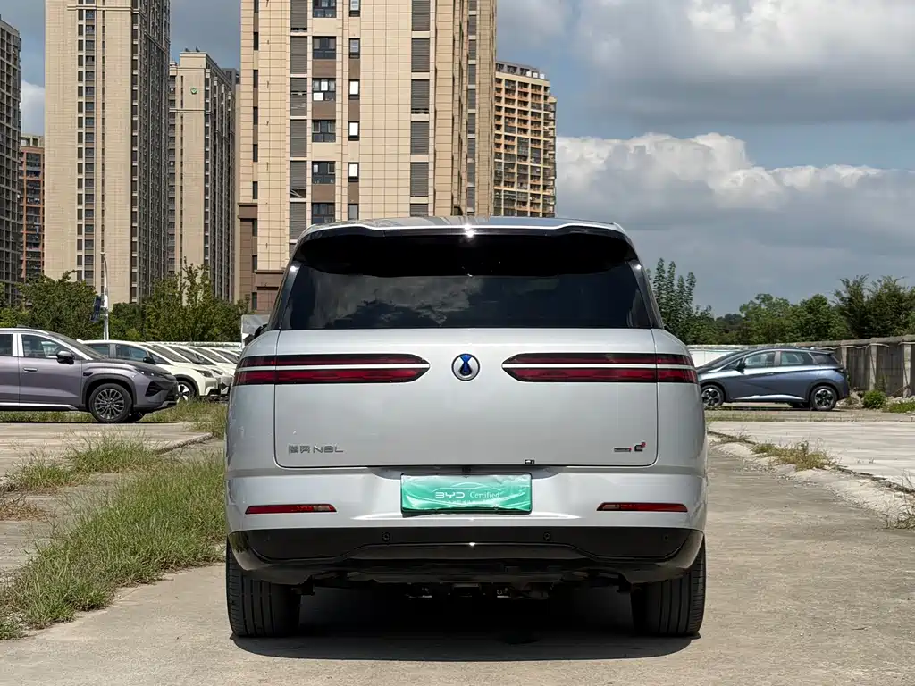 Denza Denza N8L — миниатюра 5