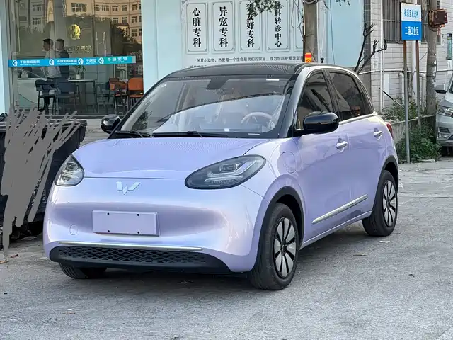 WULING AUTOMOBILE WULING BINGGUO 2025