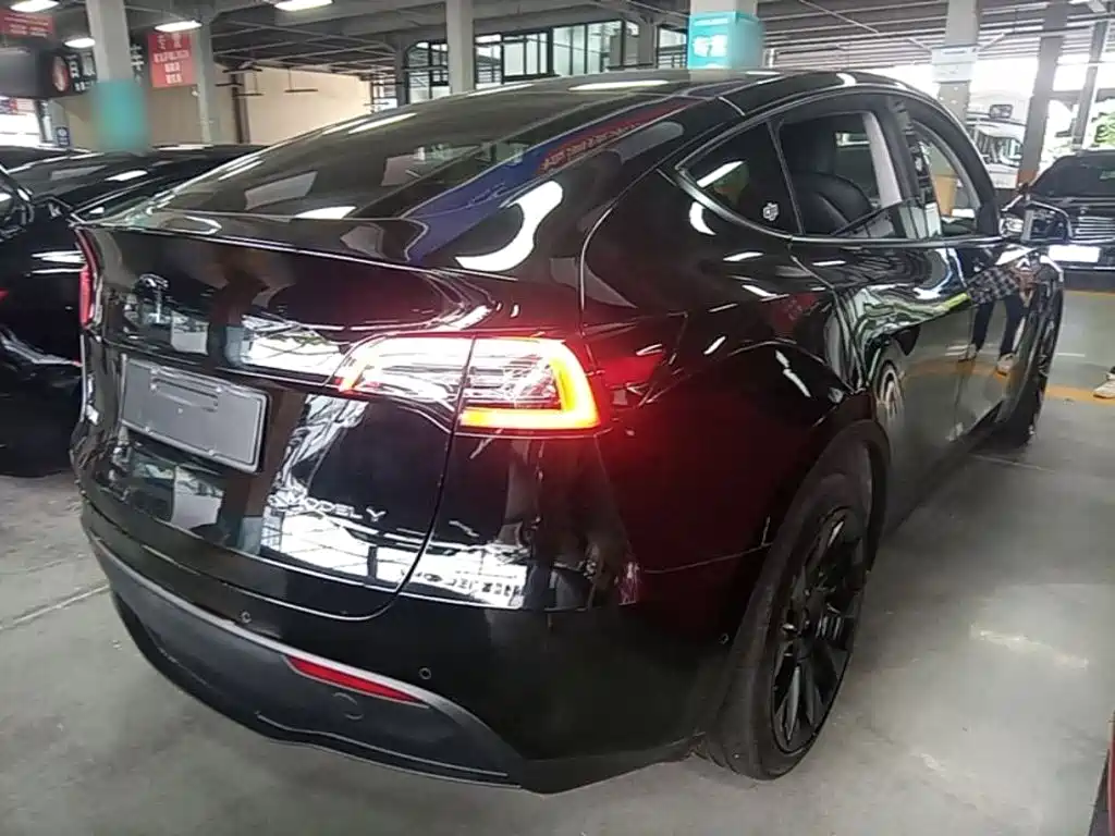 Tesla Model Y — миниатюра 7