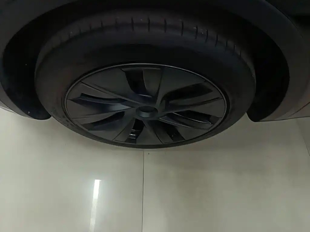 Tesla Model Y — миниатюра 23