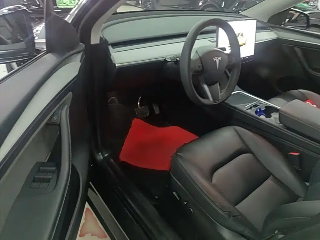 Tesla Model Y — миниатюра 16
