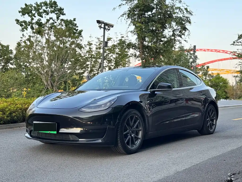 Tesla Model 3 2020