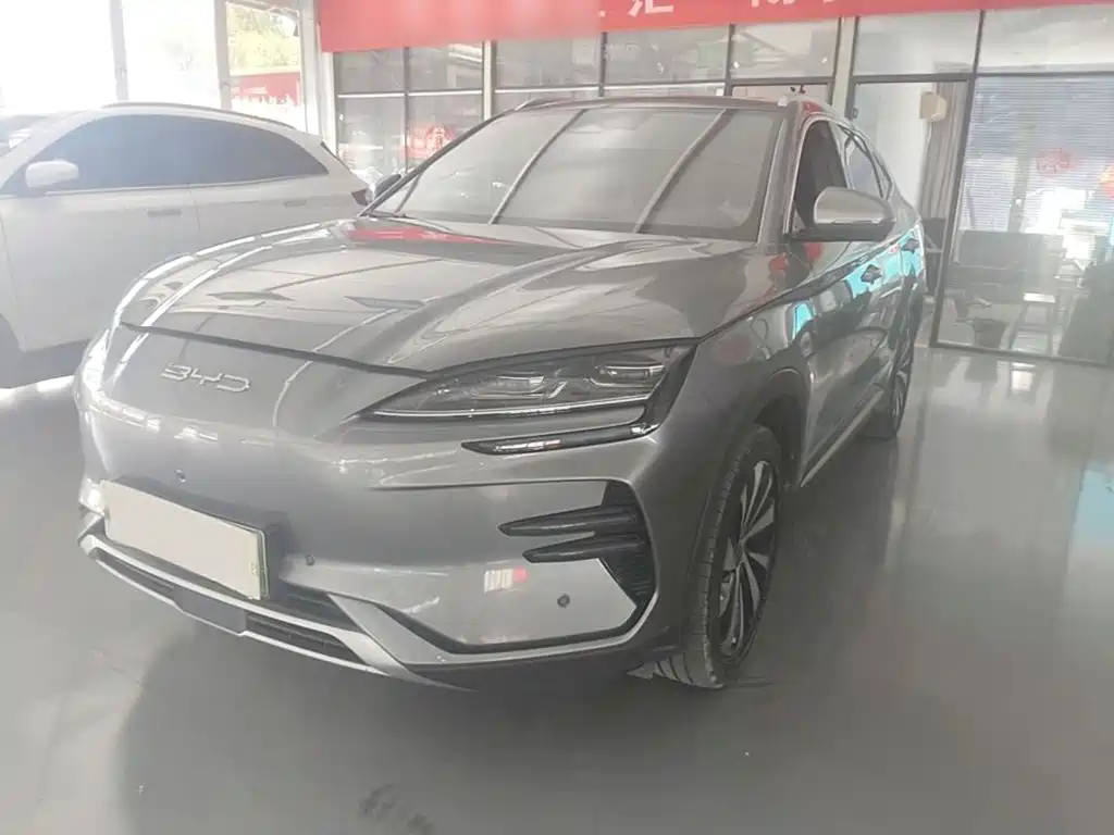 BYD PLUS New Energy — миниатюра 2