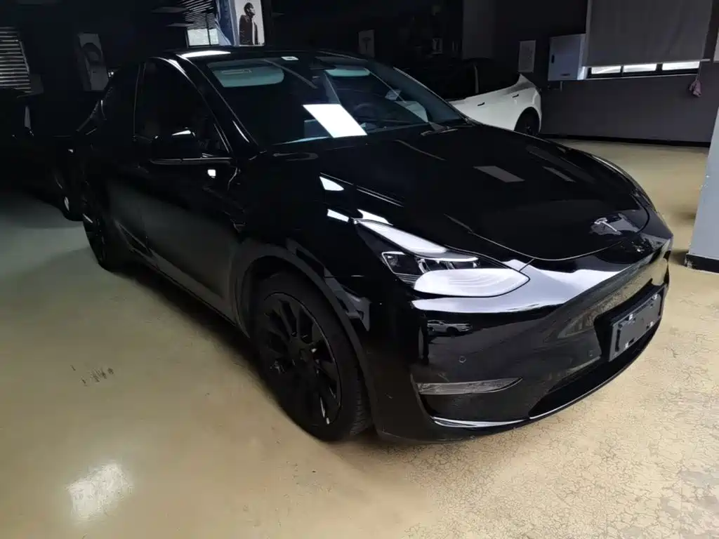 Tesla Model Y — миниатюра 4