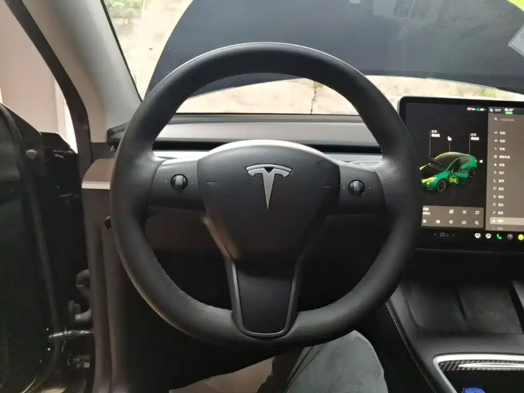 Tesla Model Y — миниатюра 11