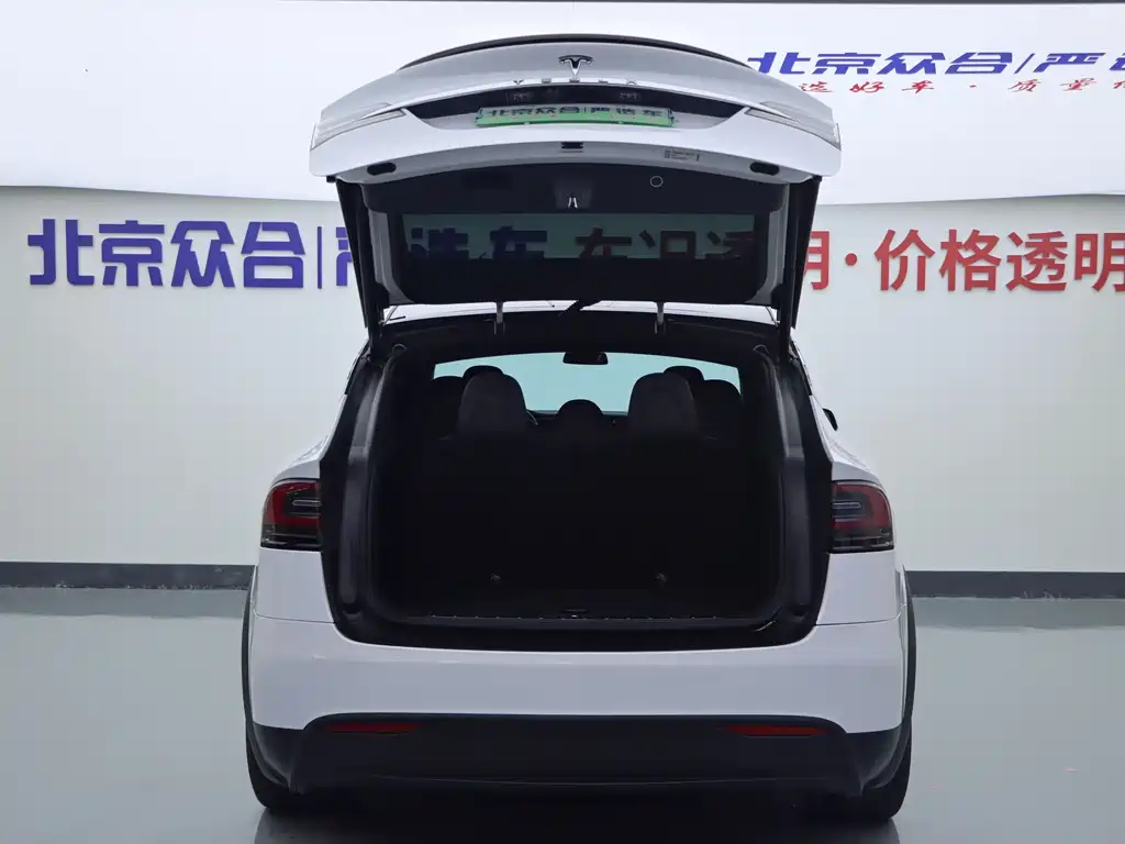 Tesla Model X — миниатюра 21