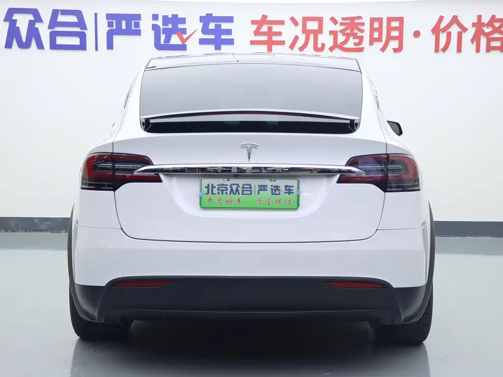 Tesla Model X — миниатюра 22