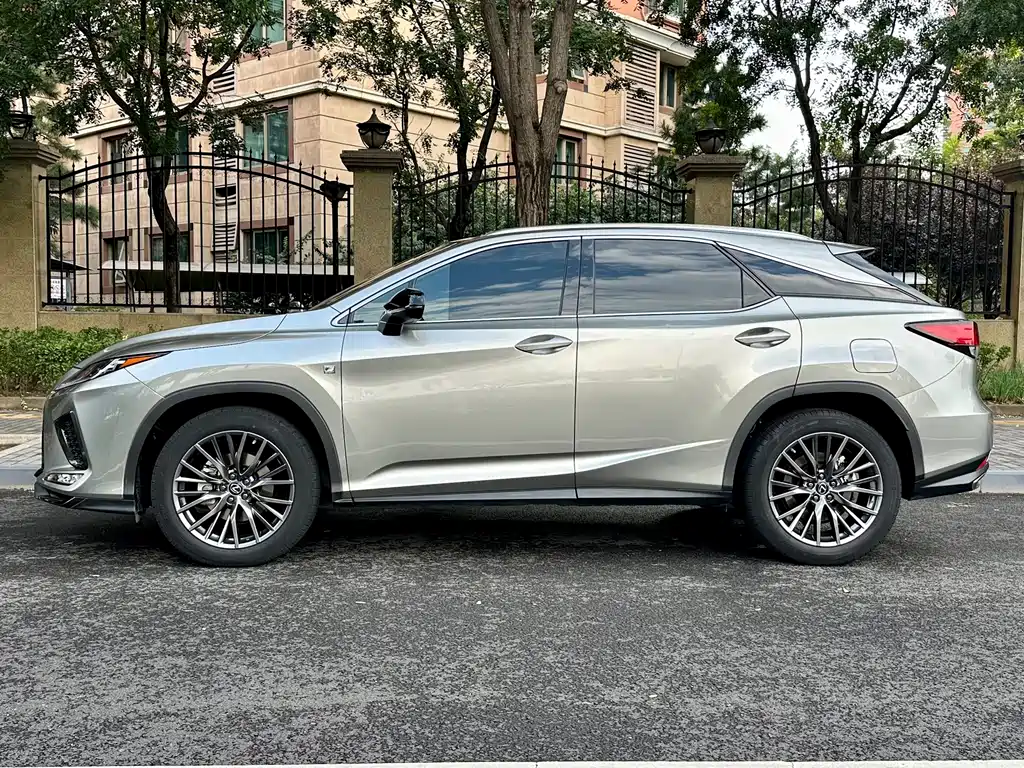 Lexus RX Facelift 300 4WD F SPORT, фото 3