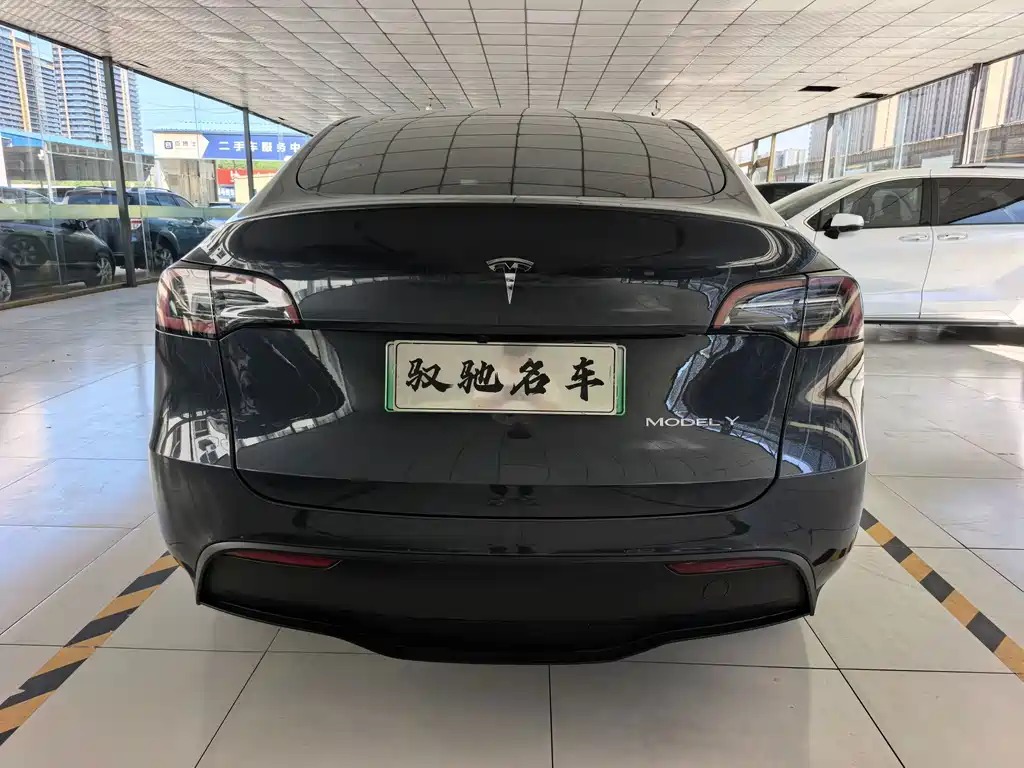 Tesla Model Y — миниатюра 15