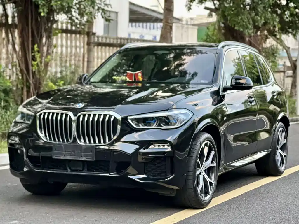 BMW X5 (Import) — миниатюра 3