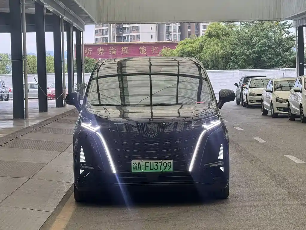 Denza Denza D9 — миниатюра 2