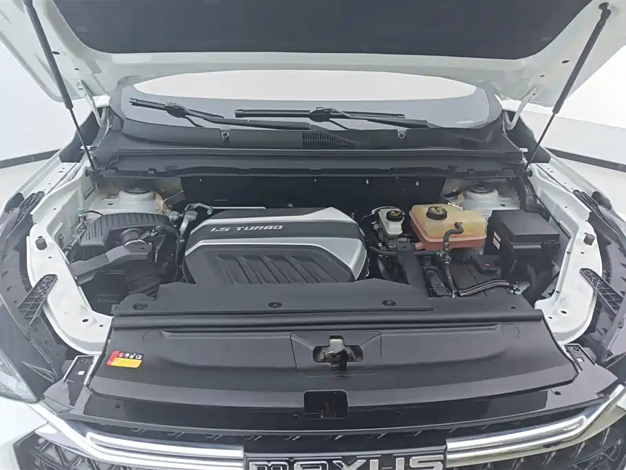 SAIC MAXUS CHASE D60