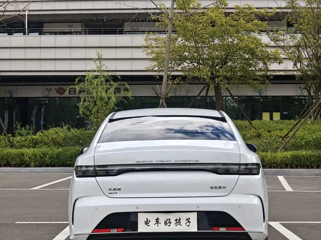 BYD Destroyer 05 — миниатюра 5