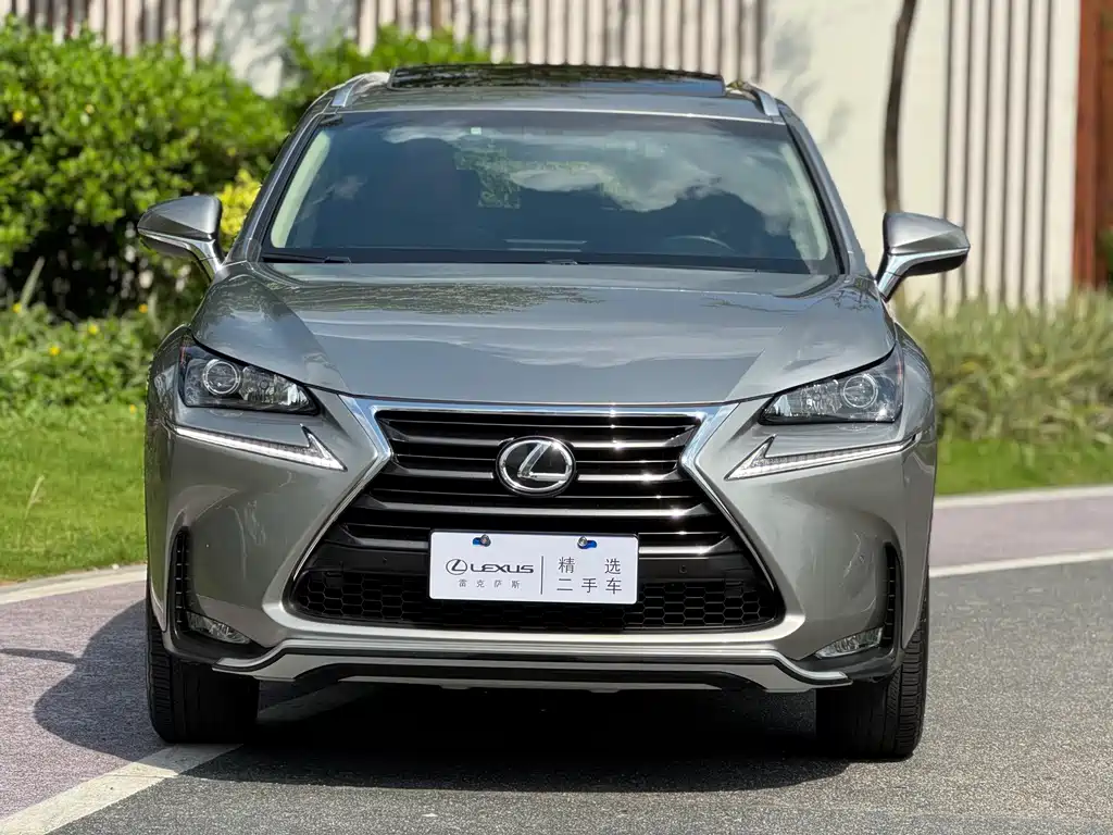 Lexus NX — миниатюра 2