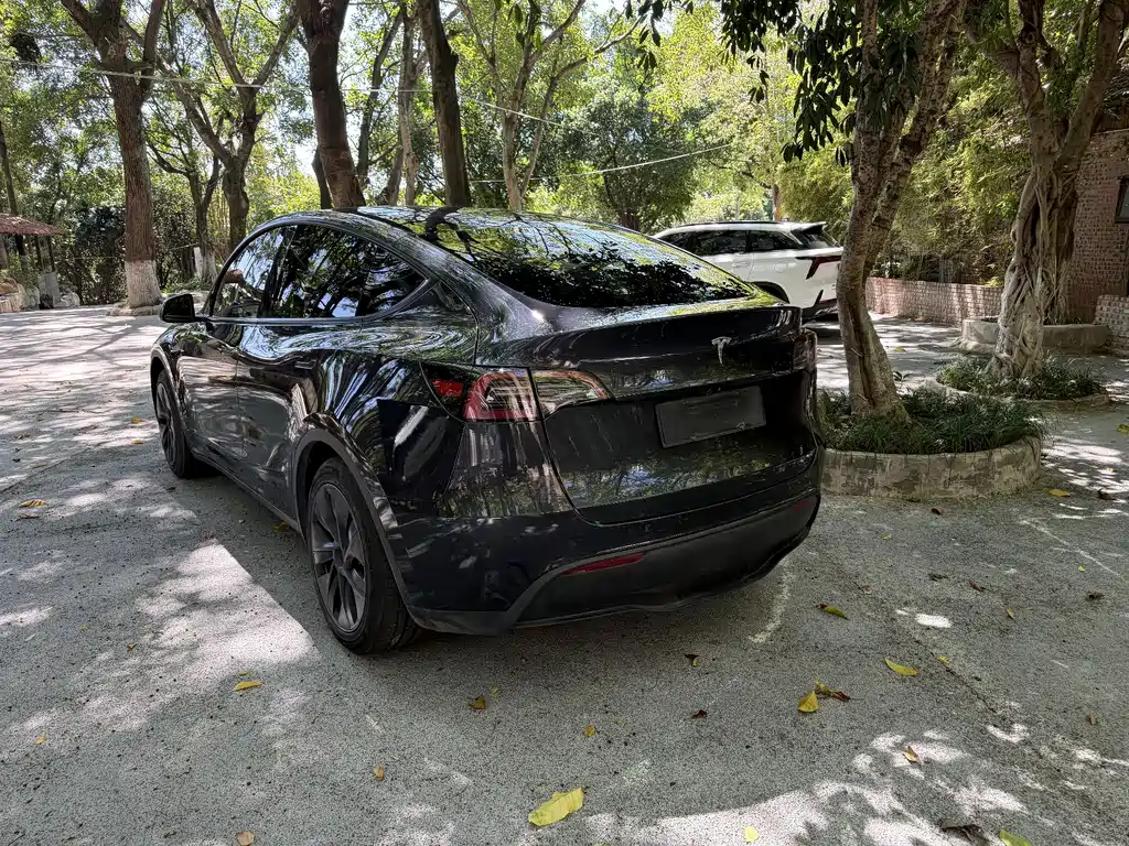 Tesla Model Y — миниатюра 3