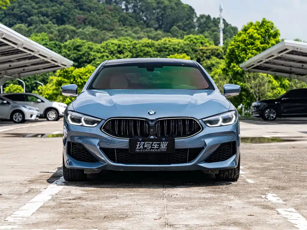 BMW 8 Series — миниатюра 2