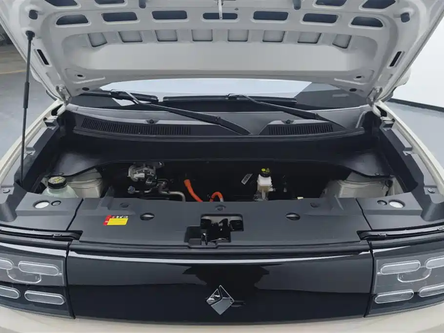 BAOJUN YUE ALSO PLUS