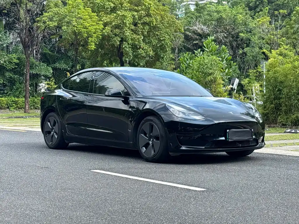 Tesla Model 3 — миниатюра 3
