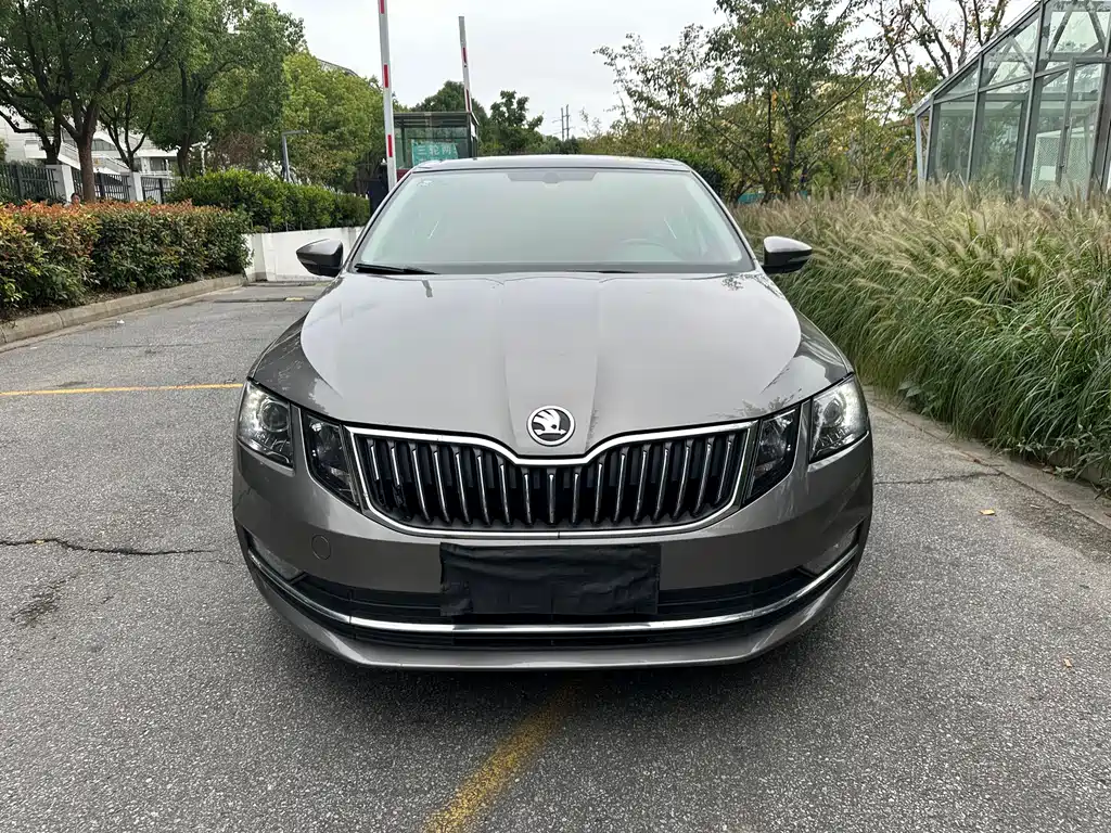 Skoda Octavia — миниатюра 2