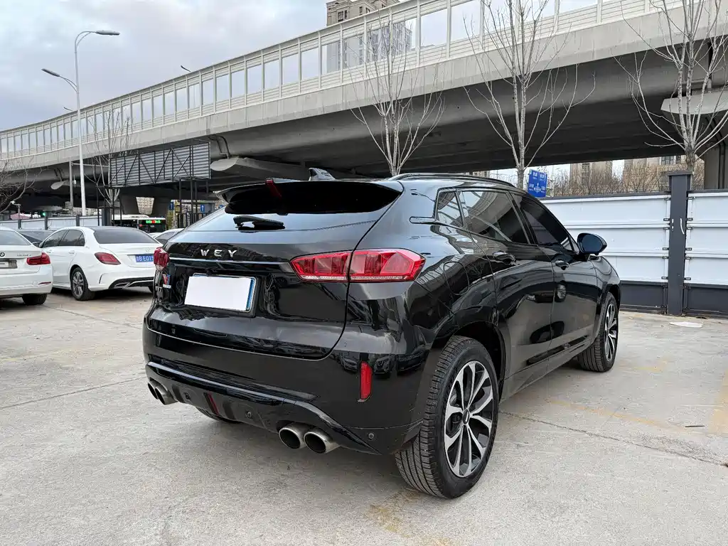 WEI PAI WEI BRAND VV7