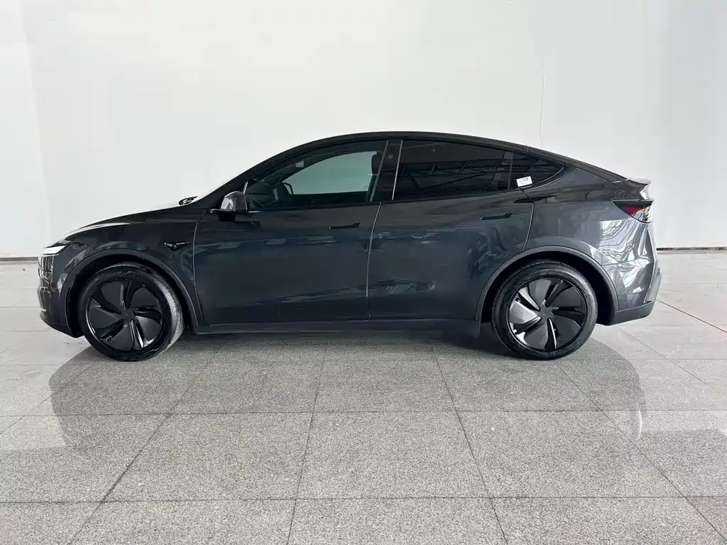 Tesla Model Y — миниатюра 2