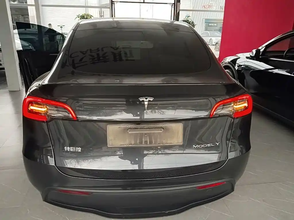 Tesla Model Y — миниатюра 6