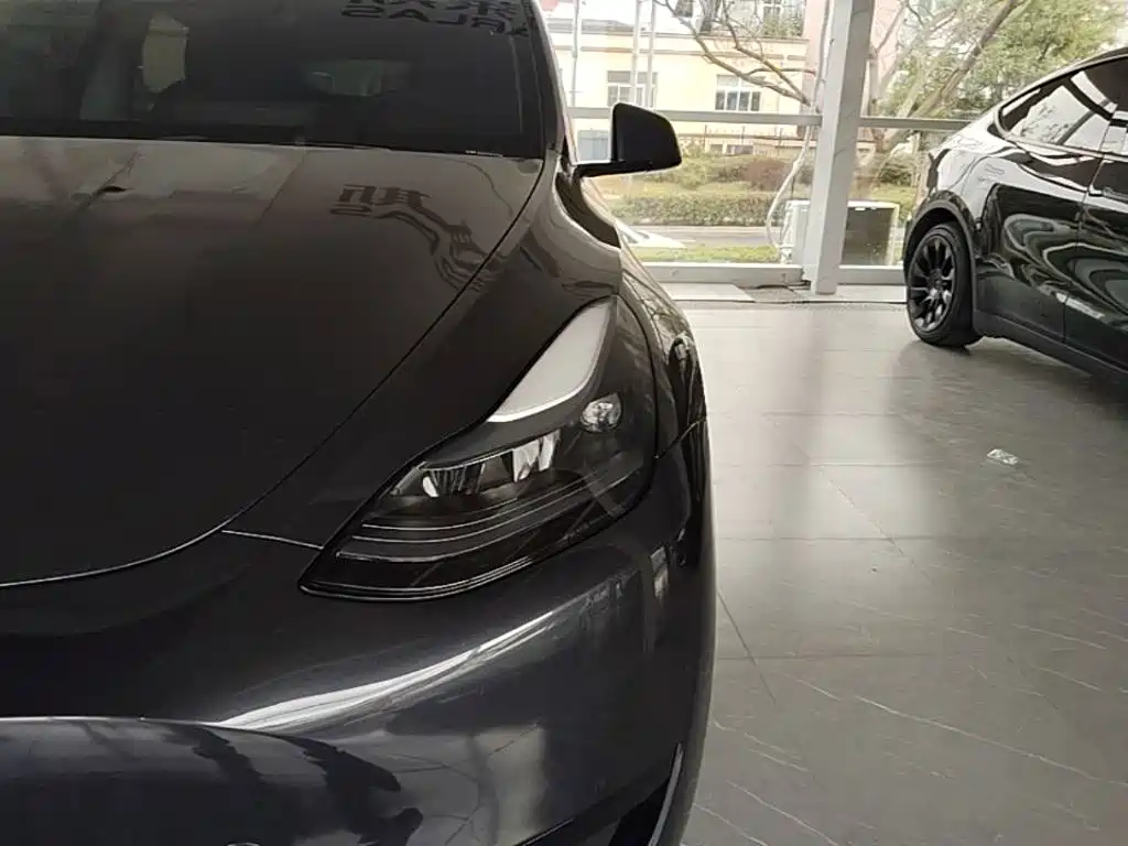 Tesla Model Y — миниатюра 24