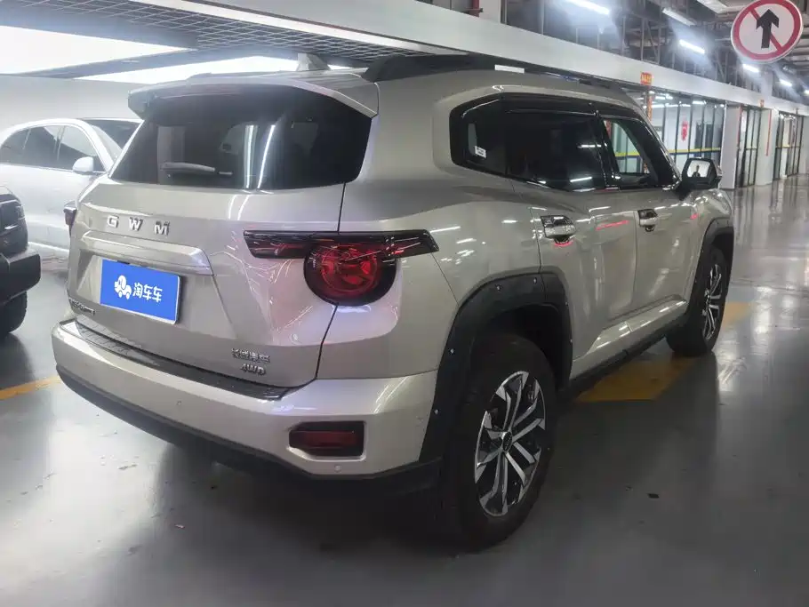 Haval Big Dog PLUS — миниатюра 3