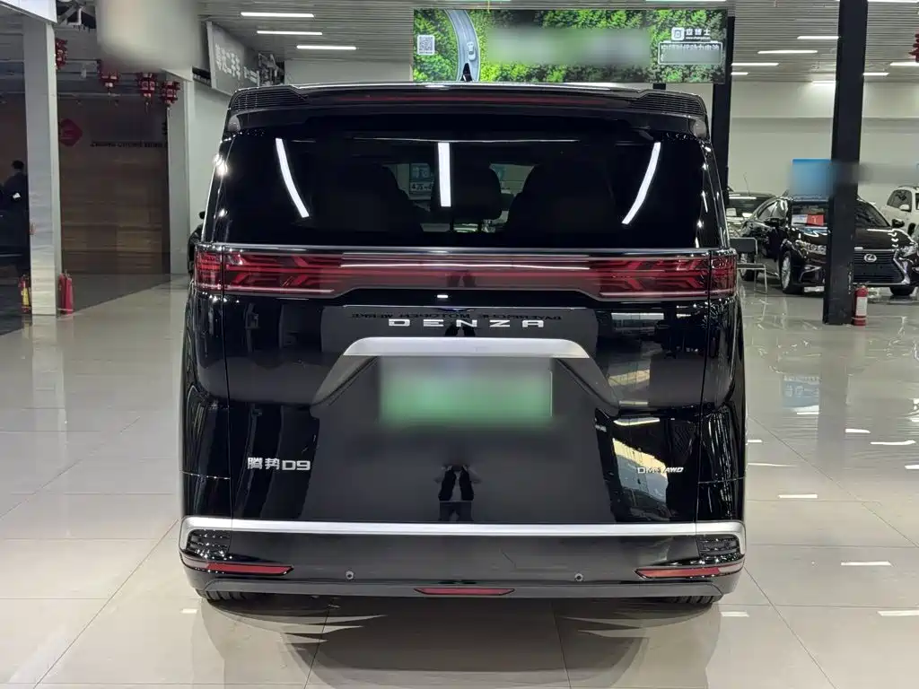 Denza Denza D9 — миниатюра 10