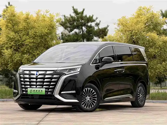 2023 Denza D9