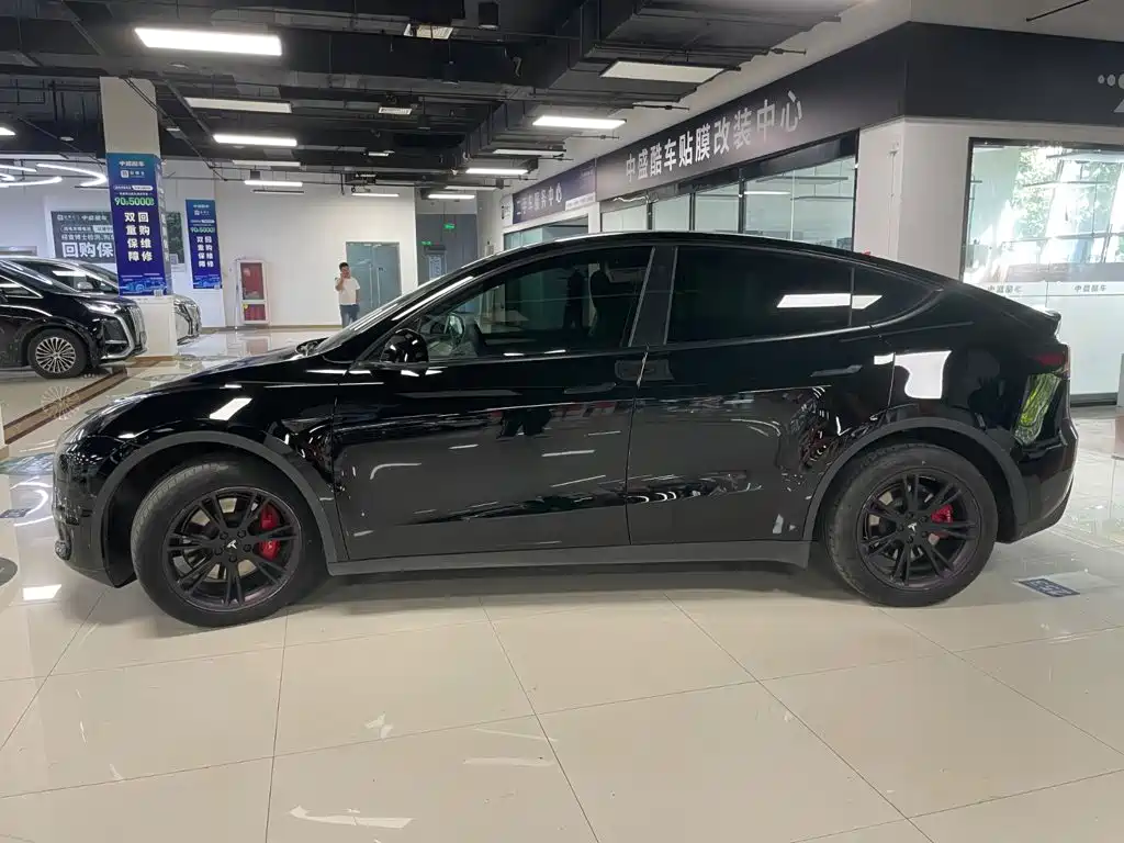 Tesla Model Y — миниатюра 2