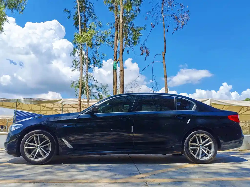 BMW 5 Series 5 2020 525Li M Sport