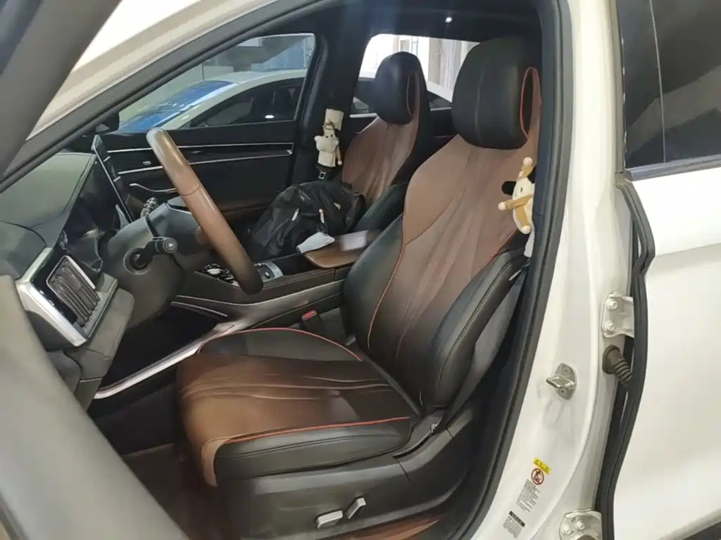 BYD PLUS — миниатюра 15