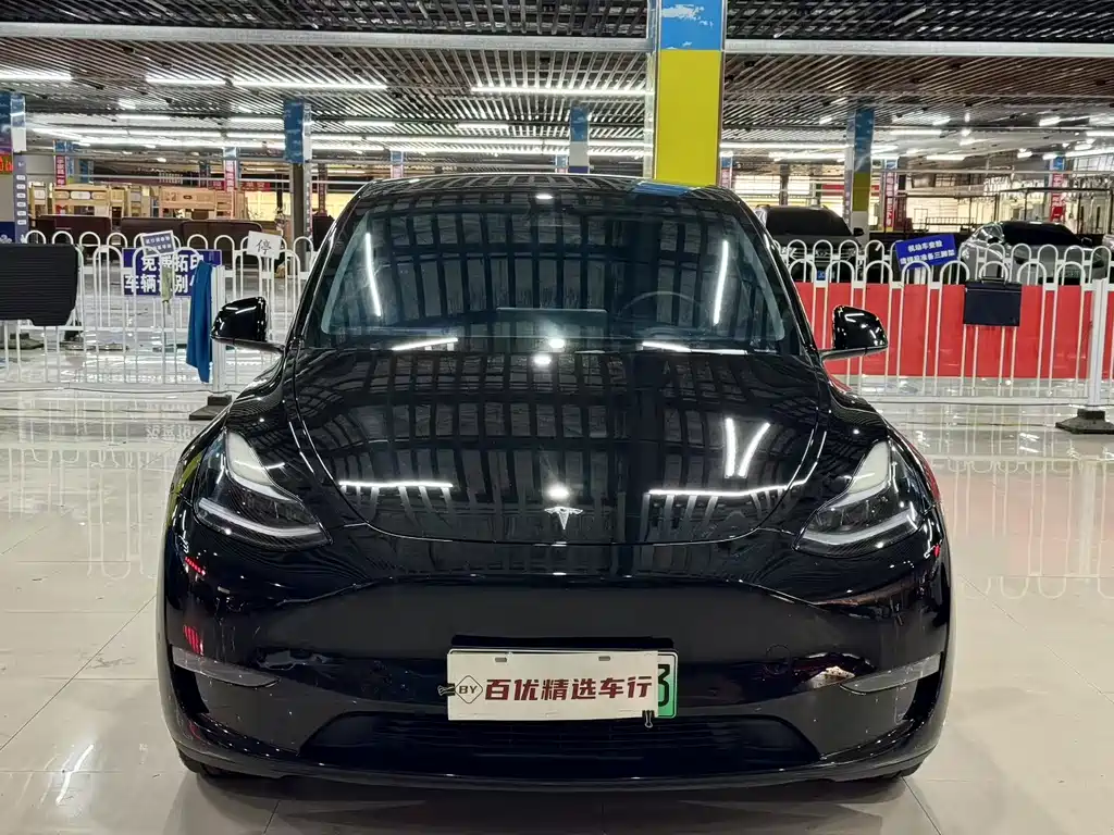 Tesla Model Y — миниатюра 2