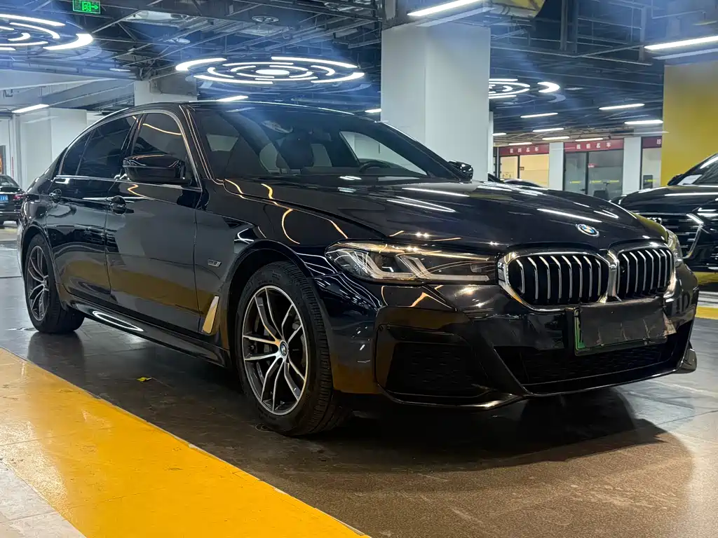 BMW 5 SERIES NEW ENERGY