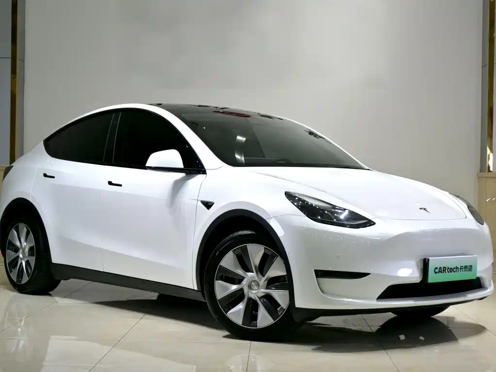 Tesla Model Y — миниатюра 3