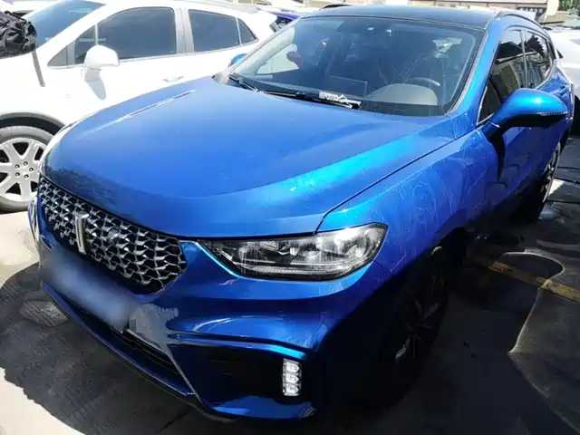 2020 Wey VV5