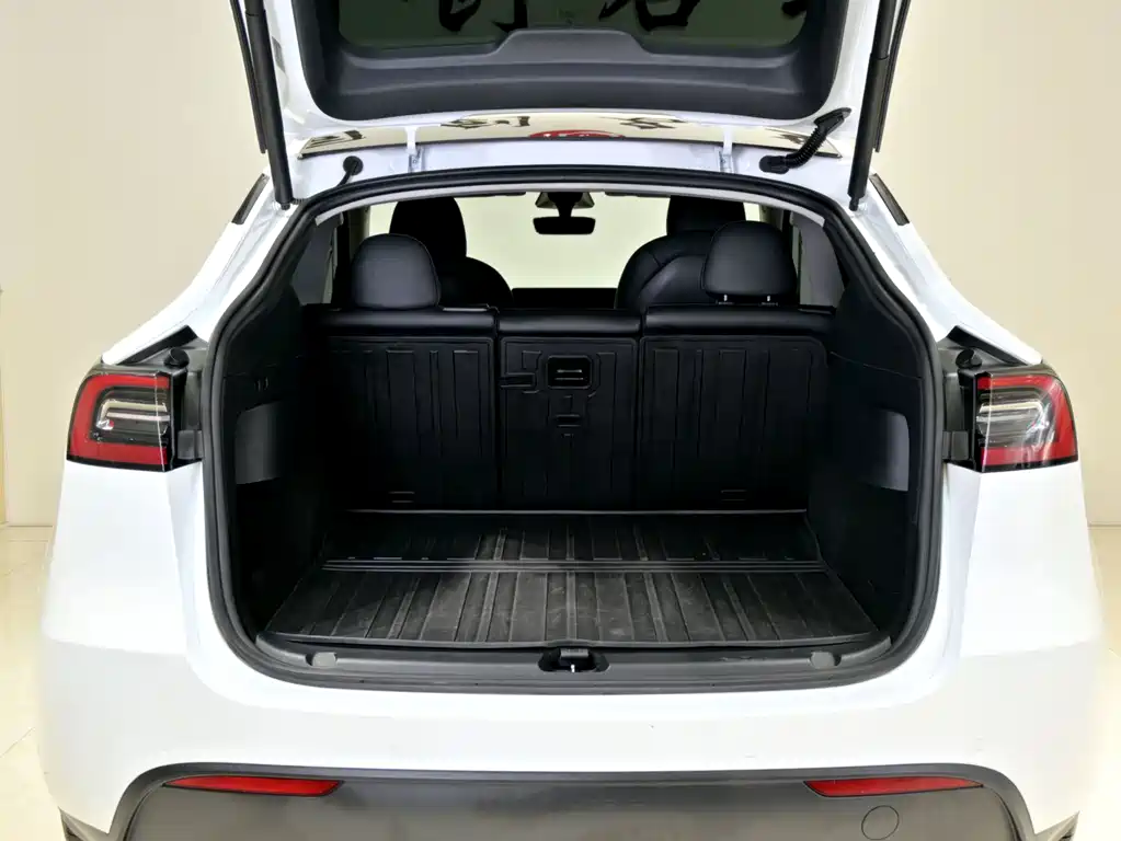 Tesla Model Y — миниатюра 12