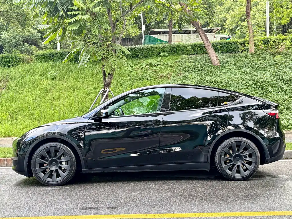 Tesla Model Y — миниатюра 3
