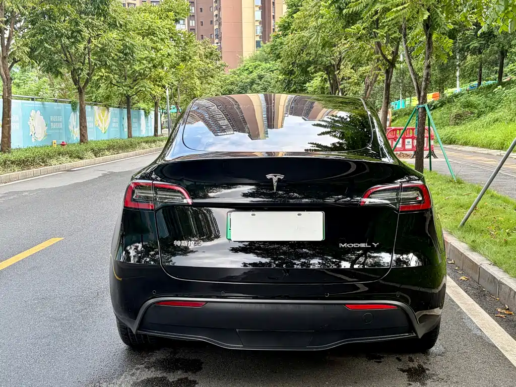 Tesla Model Y — миниатюра 9