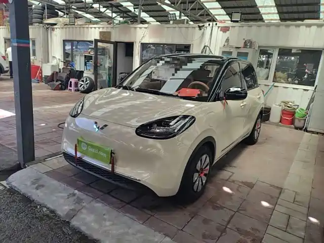 2025 Wuling Motors Binguo