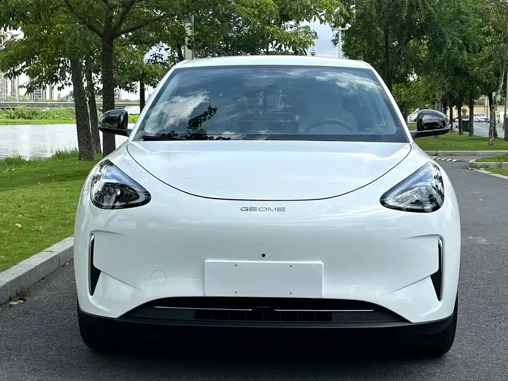 Geely Geome Xingyuan 2025 310km