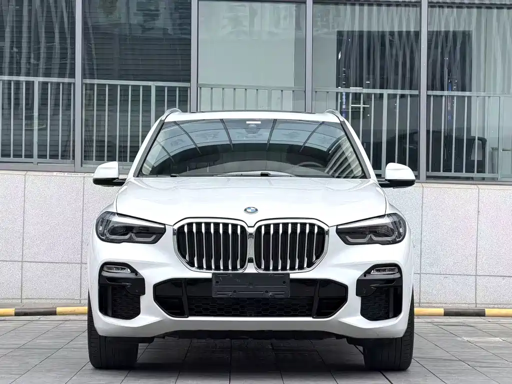 BMW X5 (Import) — миниатюра 2