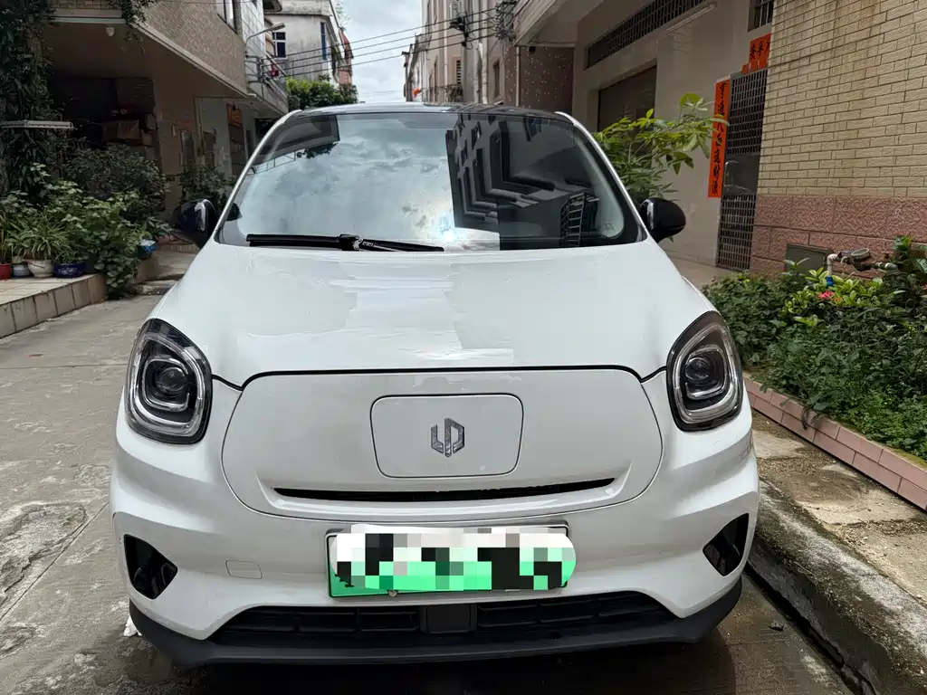 Leapmotor T03 2024 310