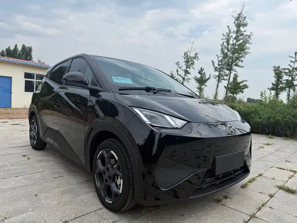 BYD Seagull 2025 Smart Drive 305km Freedom
